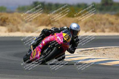 media/May-14-2022-SoCal Trackdays (Sat) [[7b6169074d]]/Turn 16 (1230pm)/